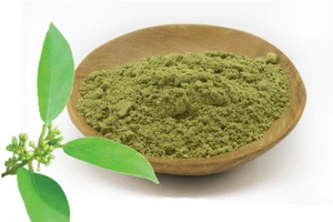 benefits of gudmar powder