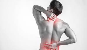 ayurvedic solution for back pain