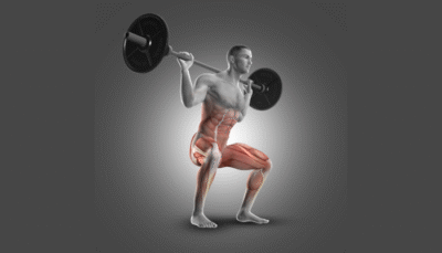 what is lean muscle exactly