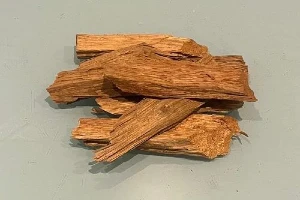 benefits of vijayysar