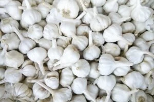 benefits of garlic