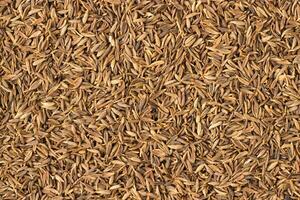 jeera uses for acidity