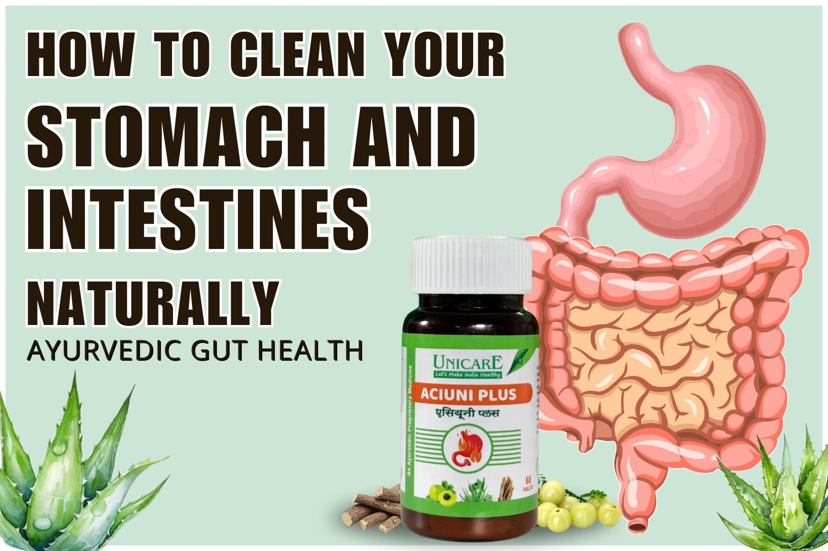 how to clean your stomach and intestines naturally