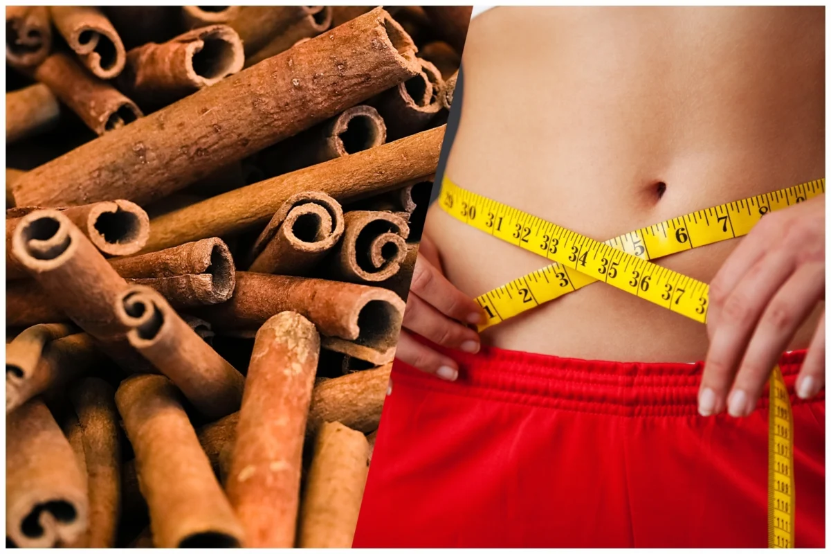 how to use dalchini for weight loss