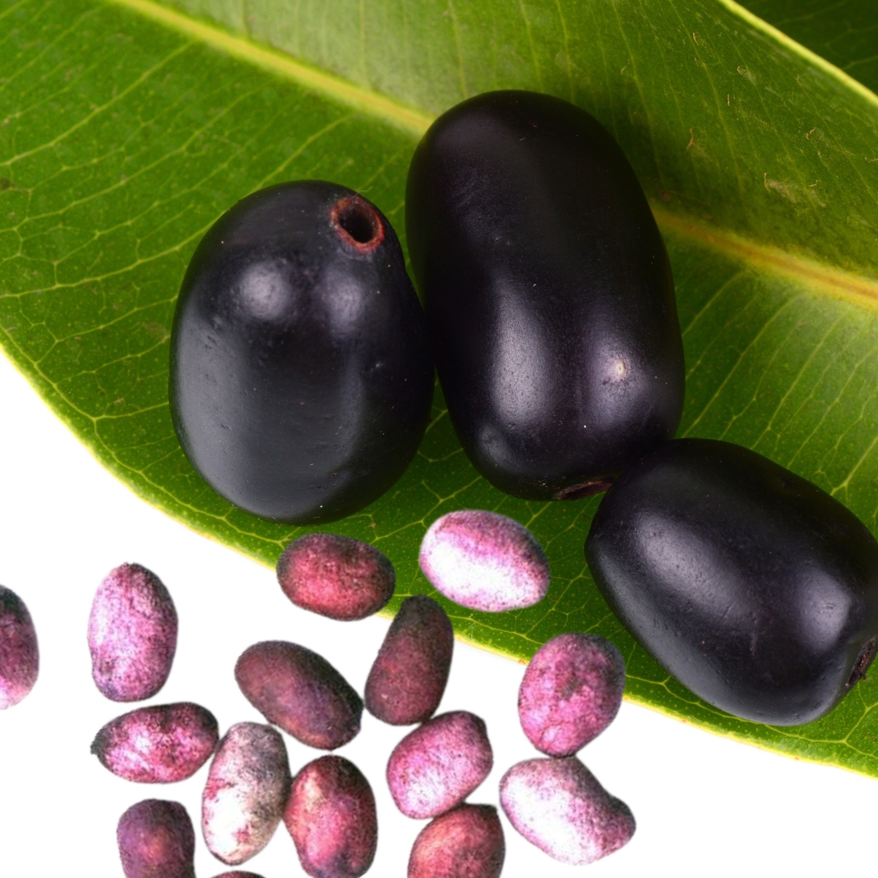jamun for diabetes
