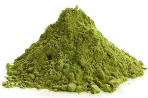 alfalfa leaf pwder benefits