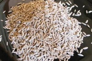 jeera seed or cumin seed benefits